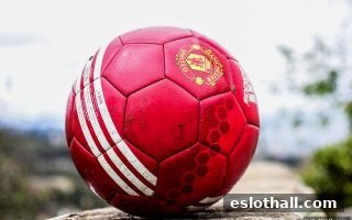 电子游艺厅娱乐活动中的水果机彩票投注方式全解析