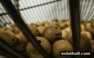 从彩票惊喜到财务自由：电子游艺厅娱乐活动中的财富管理智慧