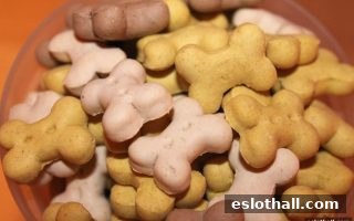 电子游艺厅娱乐活动指南：首存优惠细则与欧洲平台排名深度剖析