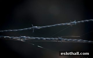 电子游艺厅娱乐活动中的免佣百家乐排雷指南：避开陷阱，理性畅玩