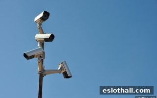 在电子游艺厅娱乐活动中精准辨别欺诈网站与保障资金安全