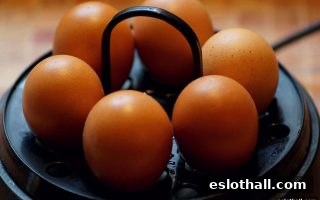 体育直播邂逅电子游艺厅娱乐活动：奇幻玩法融合新生态