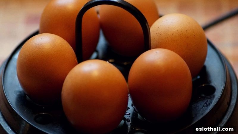体育直播邂逅电子游艺厅娱乐活动：奇幻玩法融合新生态